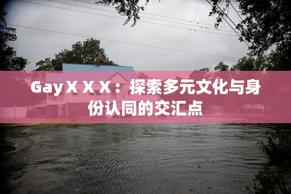 GayⅩⅩⅩ：探索多元文化与身份认同的交汇点