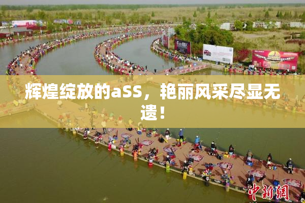 辉煌绽放的aSS，艳丽风采尽显无遗！