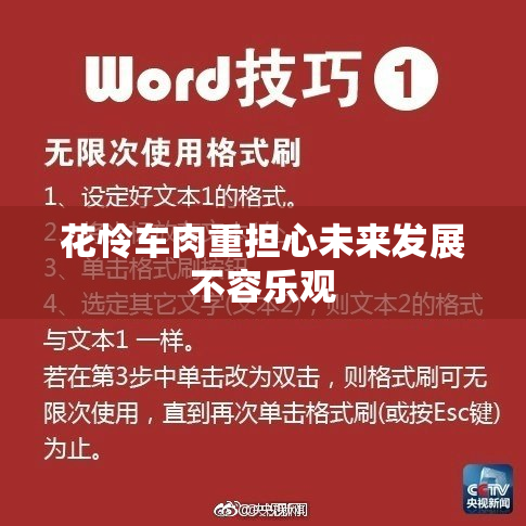 花怜车肉重担心未来发展不容乐观