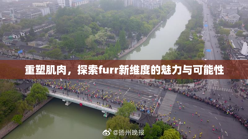 重塑肌肉，探索furr新维度的魅力与可能性