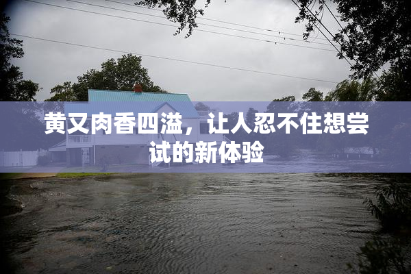 黄又肉香四溢，让人忍不住想尝试的新体验