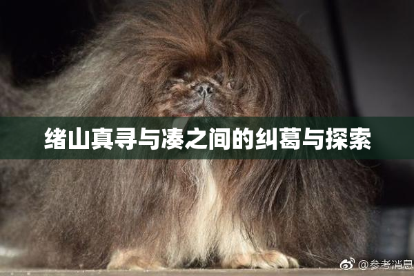 绪山真寻与凑之间的纠葛与探索
