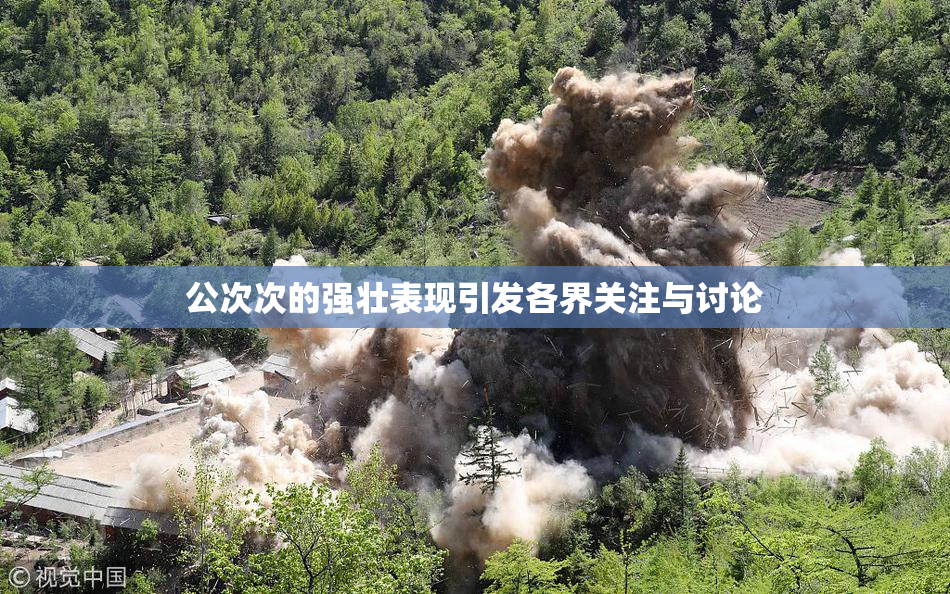 公次次的强壮表现引发各界关注与讨论