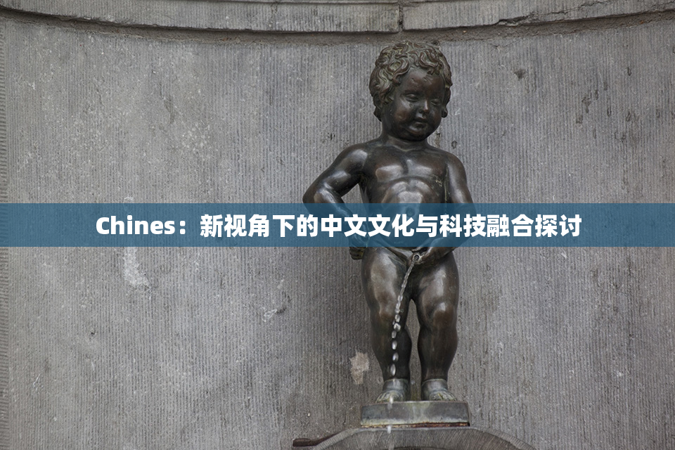 Chines：新视角下的中文文化与科技融合探讨