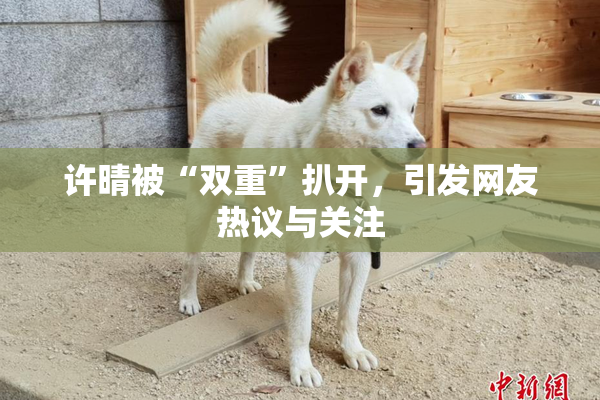 许晴被“双重”扒开，引发网友热议与关注