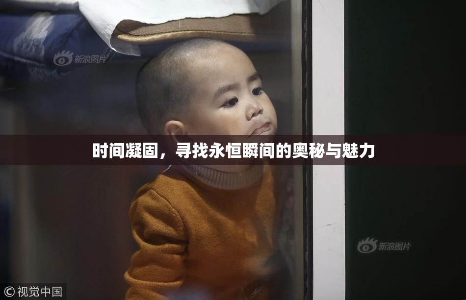 时间凝固，寻找永恒瞬间的奥秘与魅力