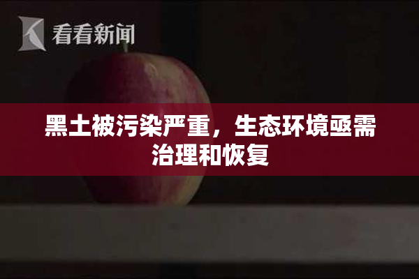 黑土被污染严重，生态环境亟需治理和恢复