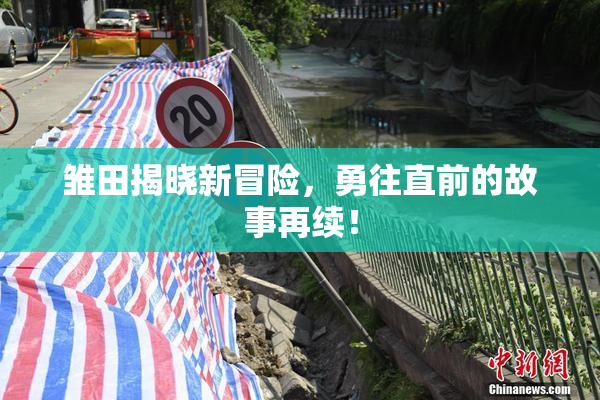 雏田揭晓新冒险，勇往直前的故事再续！