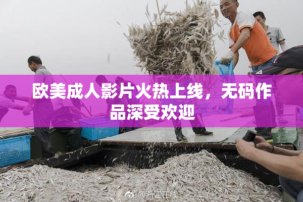 欧美成人影片火热上线，无码作品深受欢迎