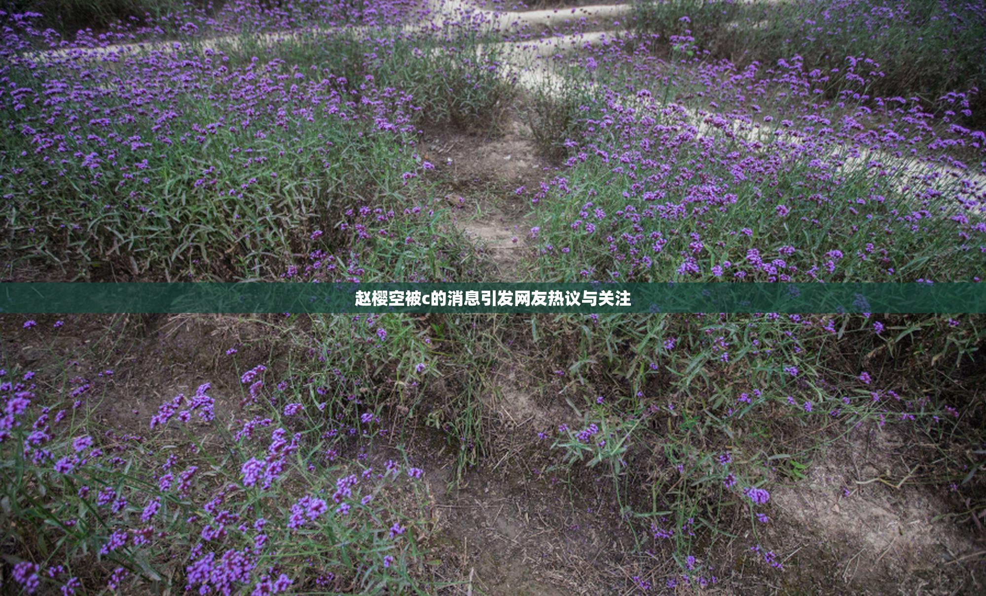 赵樱空被c的消息引发网友热议与关注