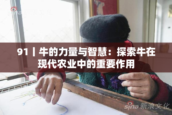 91丨牛的力量与智慧：探索牛在现代农业中的重要作用