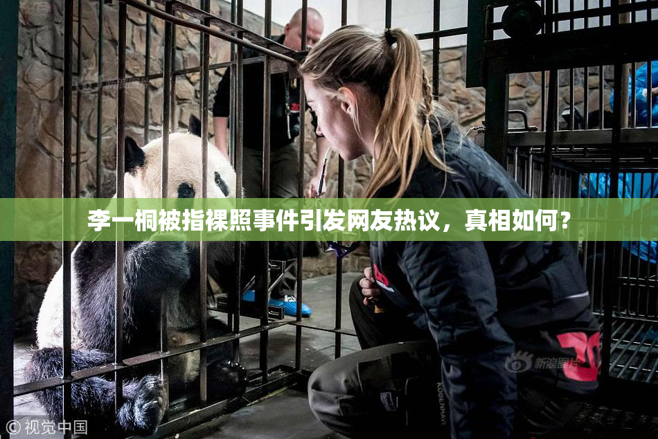 李一桐被指裸照事件引发网友热议，真相如何？