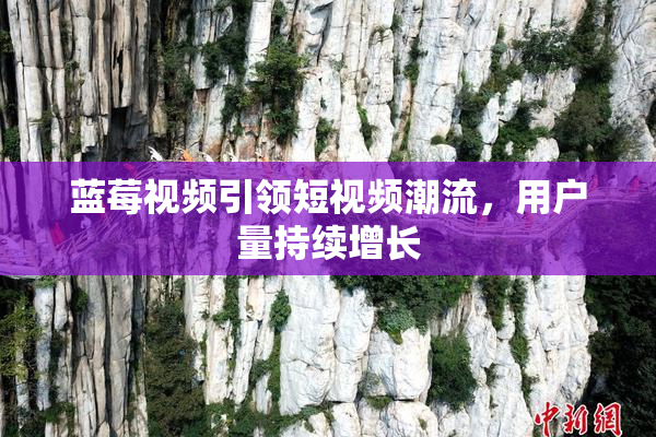 蓝莓视频引领短视频潮流，用户量持续增长