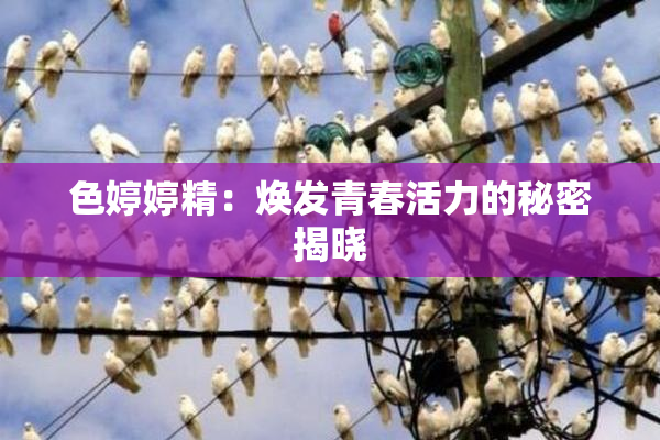 色婷婷精：焕发青春活力的秘密揭晓