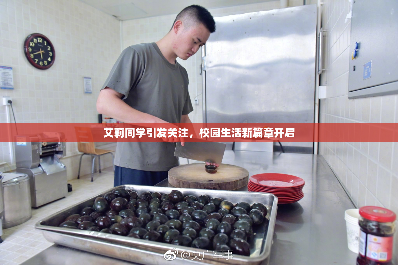 艾莉同学引发关注，校园生活新篇章开启
