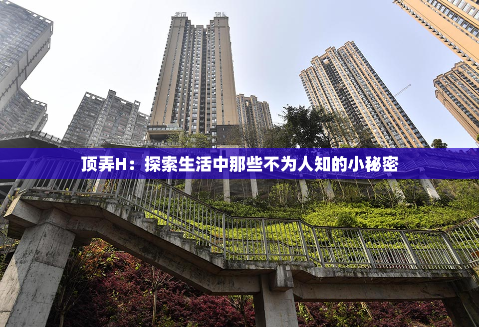 顶弄H：探索生活中那些不为人知的小秘密