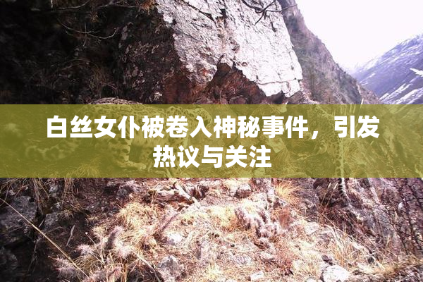 白丝女仆被卷入神秘事件，引发热议与关注