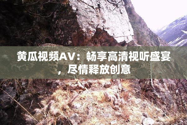 黄瓜视频AV：畅享高清视听盛宴，尽情释放创意
