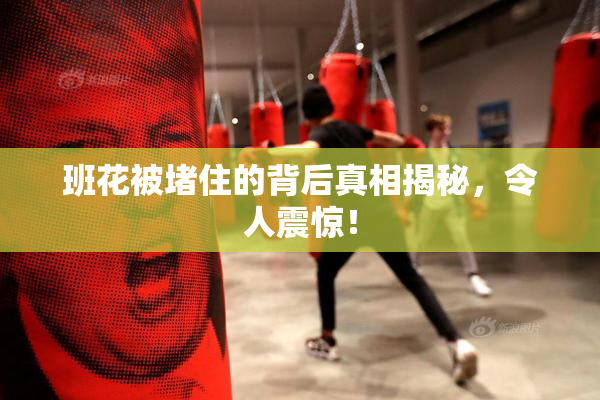 班花被堵住的背后真相揭秘，令人震惊！