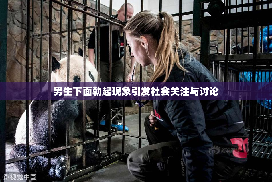 男生下面勃起现象引发社会关注与讨论