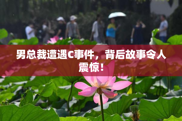男总裁遭遇C事件，背后故事令人震惊！