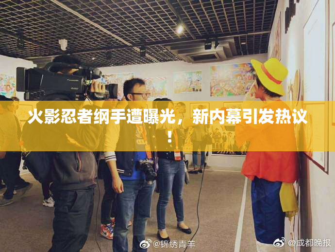 火影忍者纲手遭曝光，新内幕引发热议！