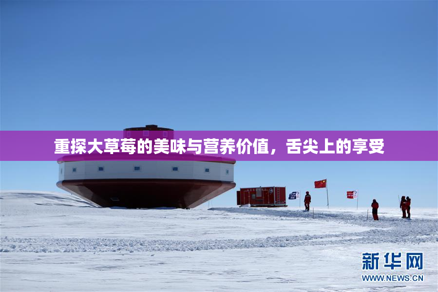 重探大草莓的美味与营养价值，舌尖上的享受