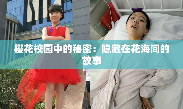 樱花校园中的秘密：隐藏在花海间的故事