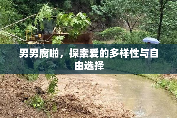 男男腐啪，探索爱的多样性与自由选择