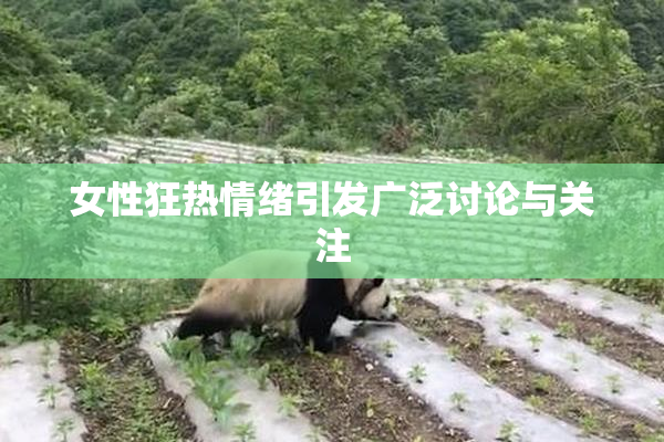 女性狂热情绪引发广泛讨论与关注