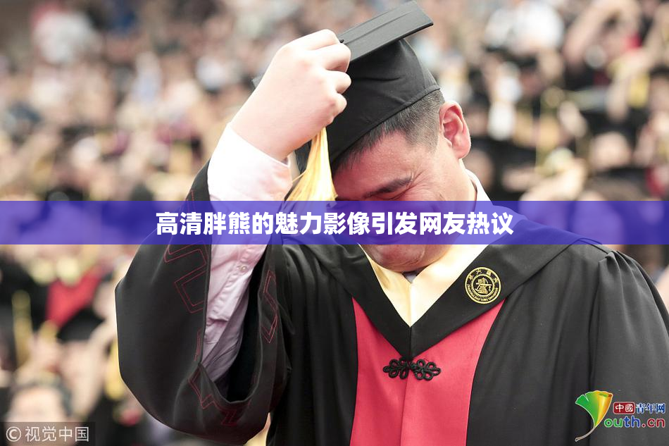高清胖熊的魅力影像引发网友热议