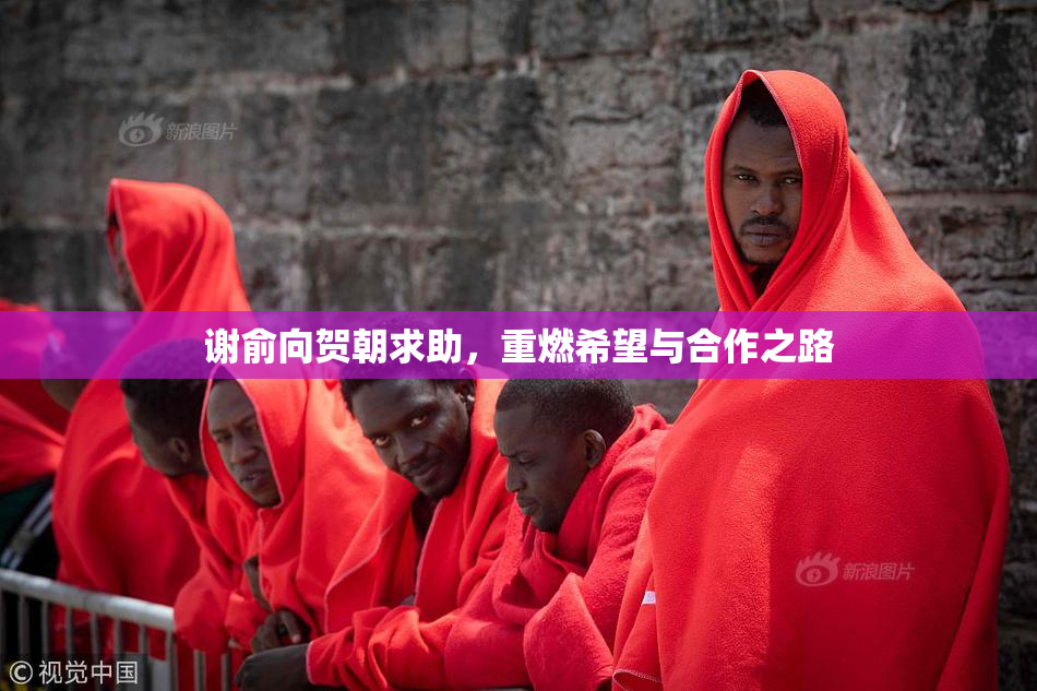 谢俞向贺朝求助，重燃希望与合作之路