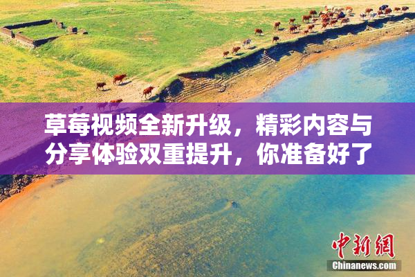草莓视频全新升级，精彩内容与分享体验双重提升，你准备好了吗？