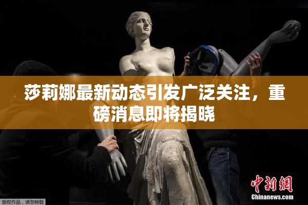 莎莉娜最新动态引发广泛关注，重磅消息即将揭晓