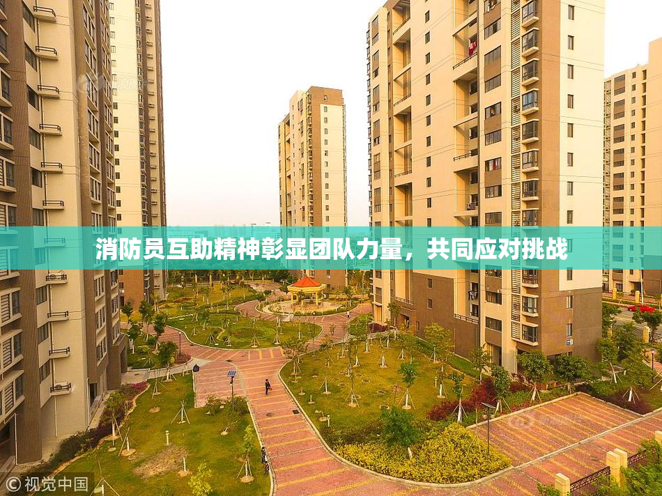 消防员互助精神彰显团队力量，共同应对挑战