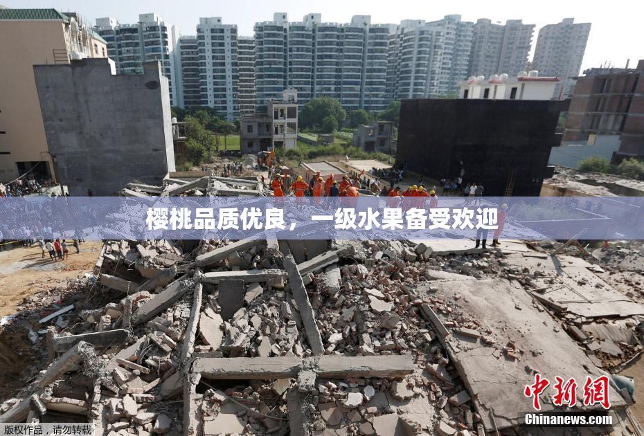 樱桃品质优良，一级水果备受欢迎
