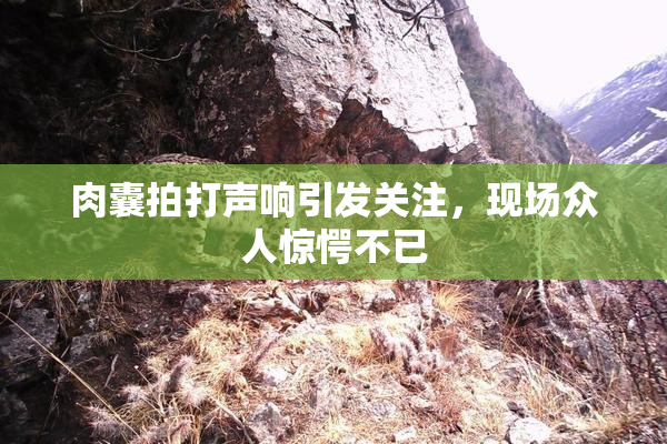 肉囊拍打声响引发关注，现场众人惊愕不已