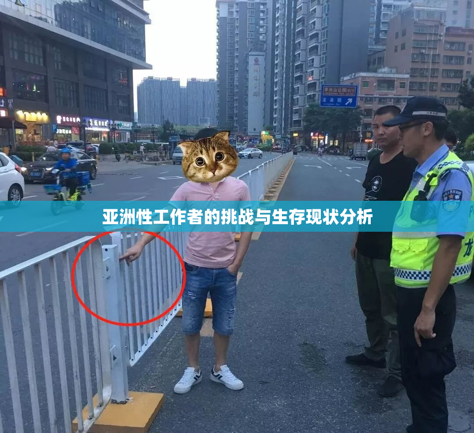 亚洲性工作者的挑战与生存现状分析