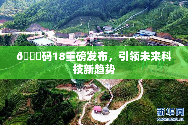 🈚码18重磅发布，引领未来科技新趋势