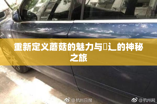 重新定义蘑菇的魅力与喿辶的神秘之旅