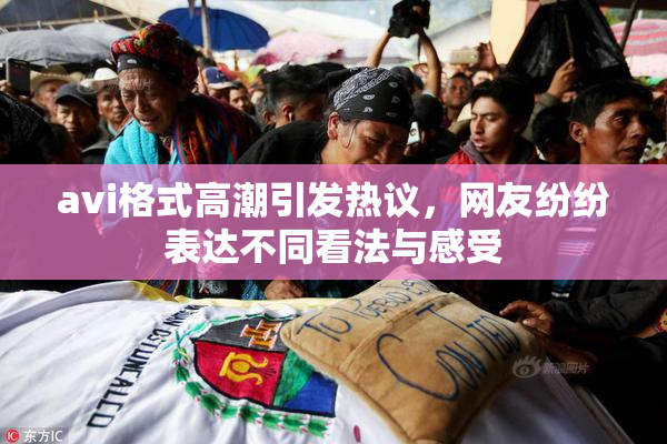 avi格式高潮引发热议，网友纷纷表达不同看法与感受