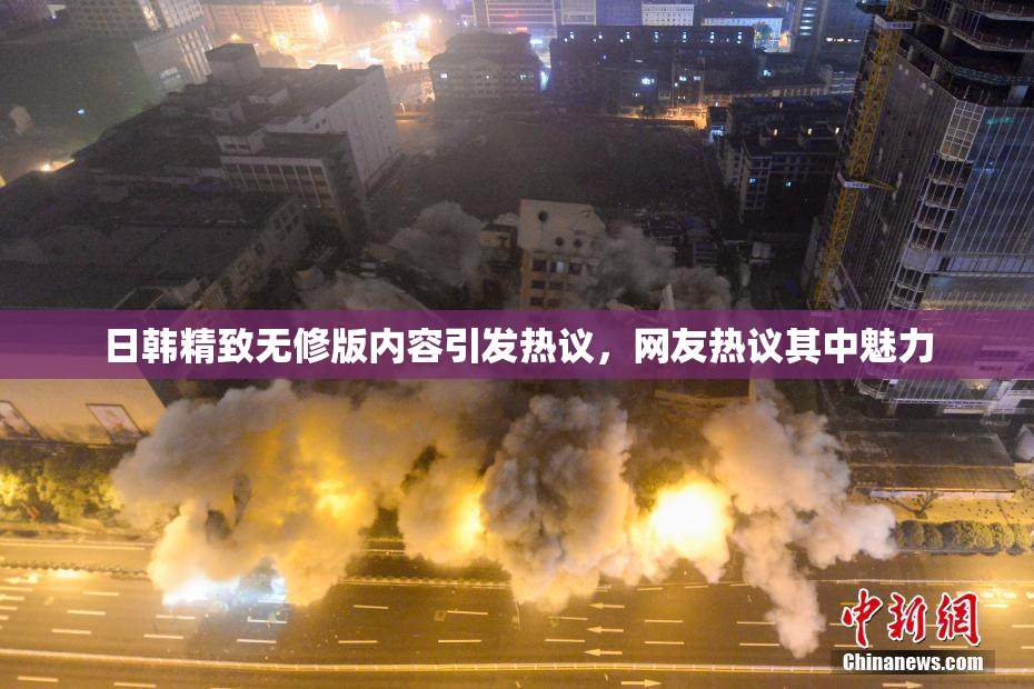 日韩精致无修版内容引发热议，网友热议其中魅力