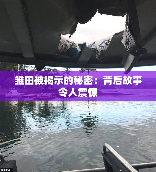 雏田被揭示的秘密：背后故事令人震惊