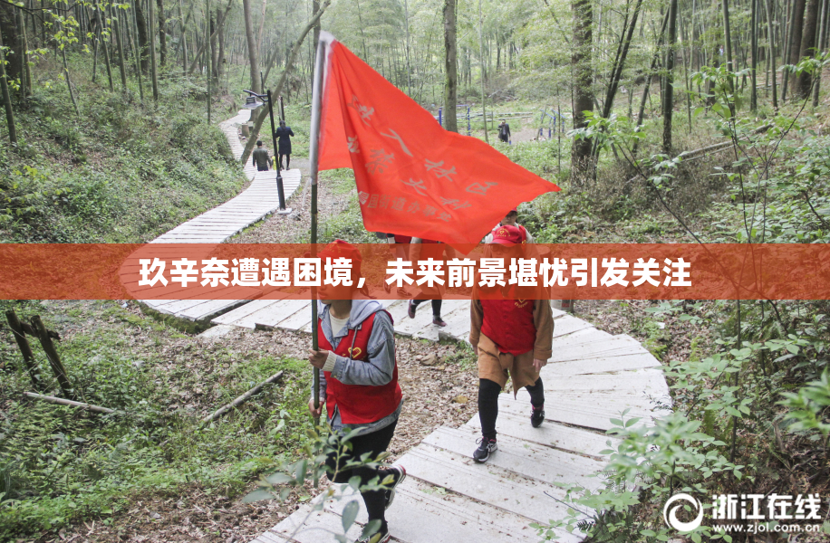 玖辛奈遭遇困境，未来前景堪忧引发关注