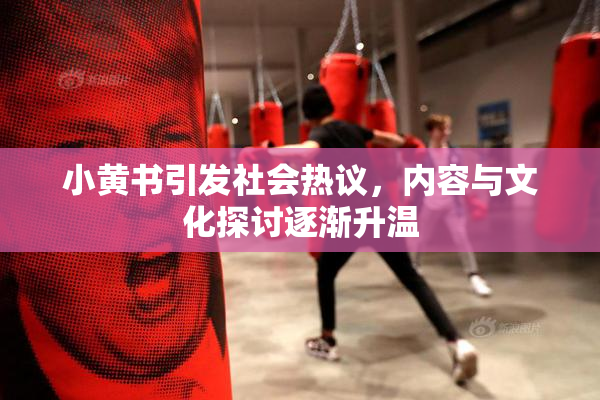 小黄书引发社会热议，内容与文化探讨逐渐升温