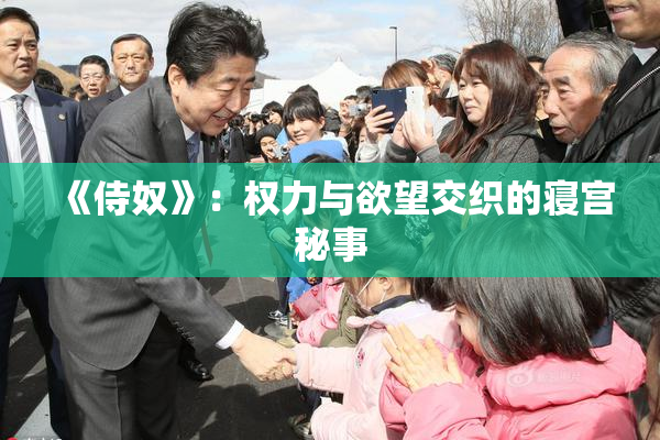 《侍奴》：权力与欲望交织的寝宫秘事