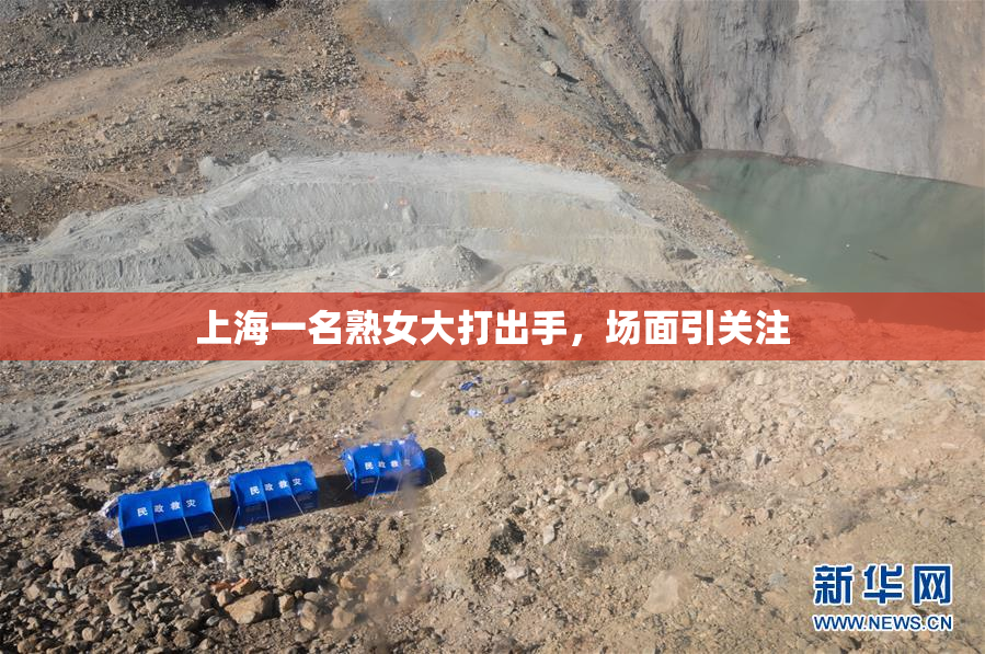 上海一名熟女大打出手，场面引关注