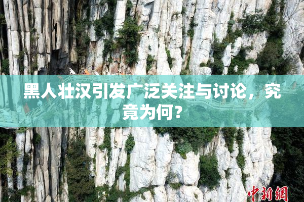 黑人壮汉引发广泛关注与讨论，究竟为何？