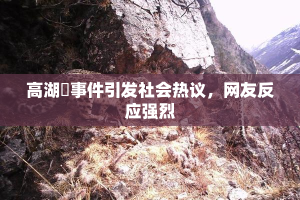 高湖婬事件引发社会热议，网友反应强烈