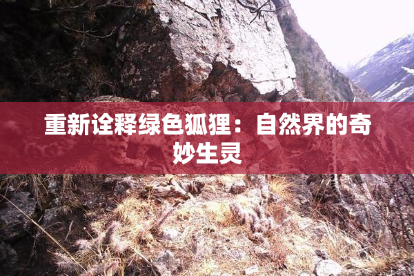 重新诠释绿色狐狸：自然界的奇妙生灵